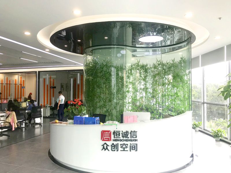 前台-实拍-91视频在线视频装修