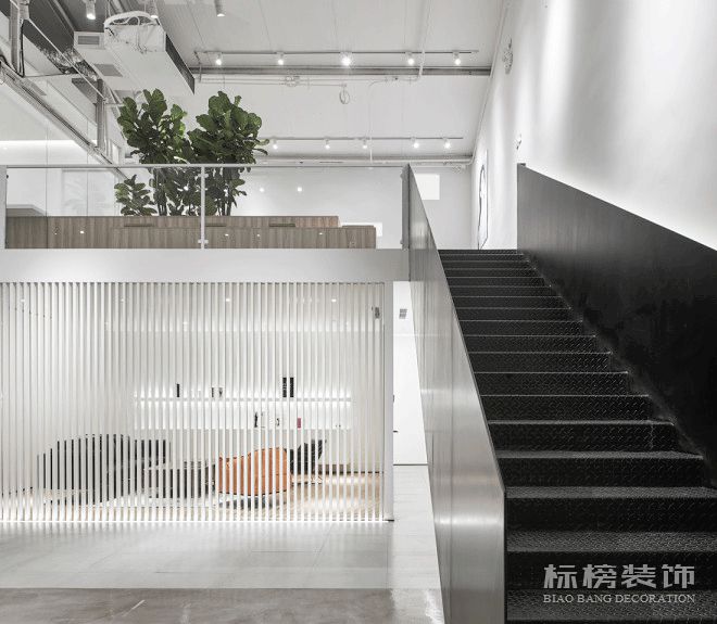 办公室植物摆放植物有哪些，怎么摆放比较好？